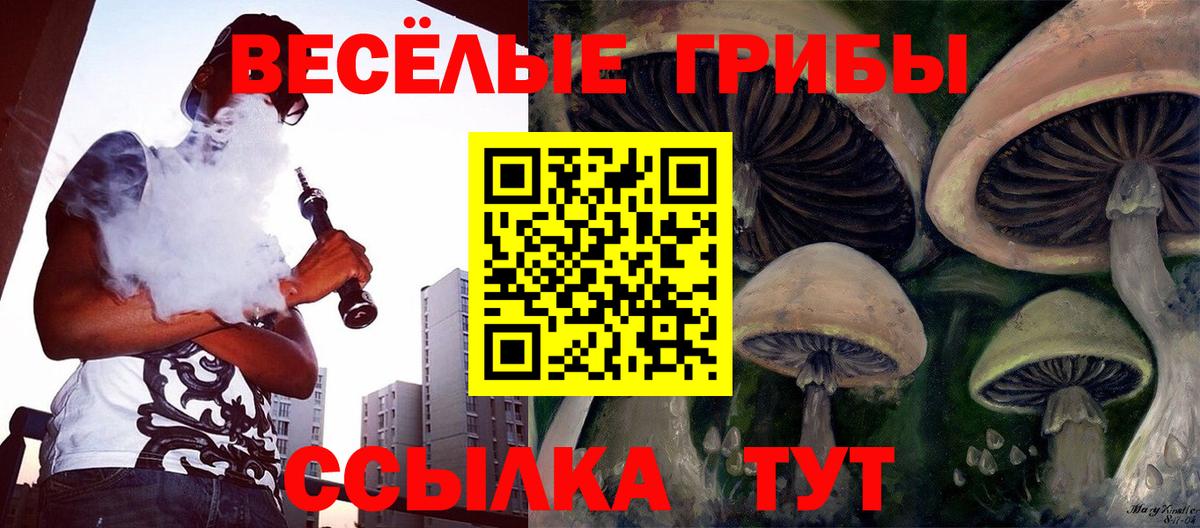 Удомля  Псилоцибиновые грибы MAGIC MUSHROOMS  Вход с VPN  Галлюциногенные грибы мицелий 